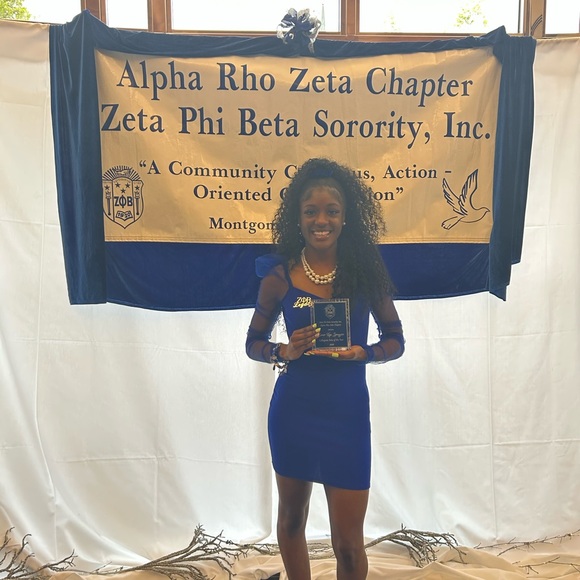 Royal Blue petite mesh sleeve dress - Picture 2 of 4